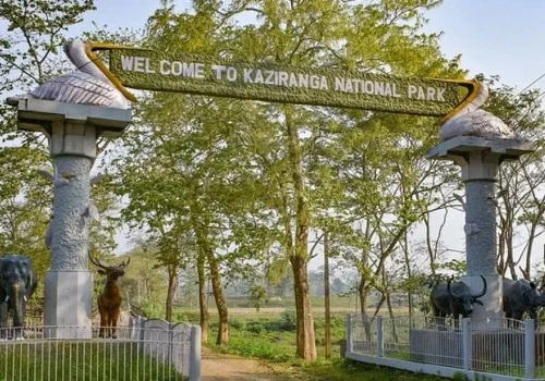 Kaziranga National Park