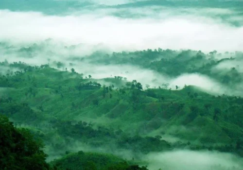 Tripura
